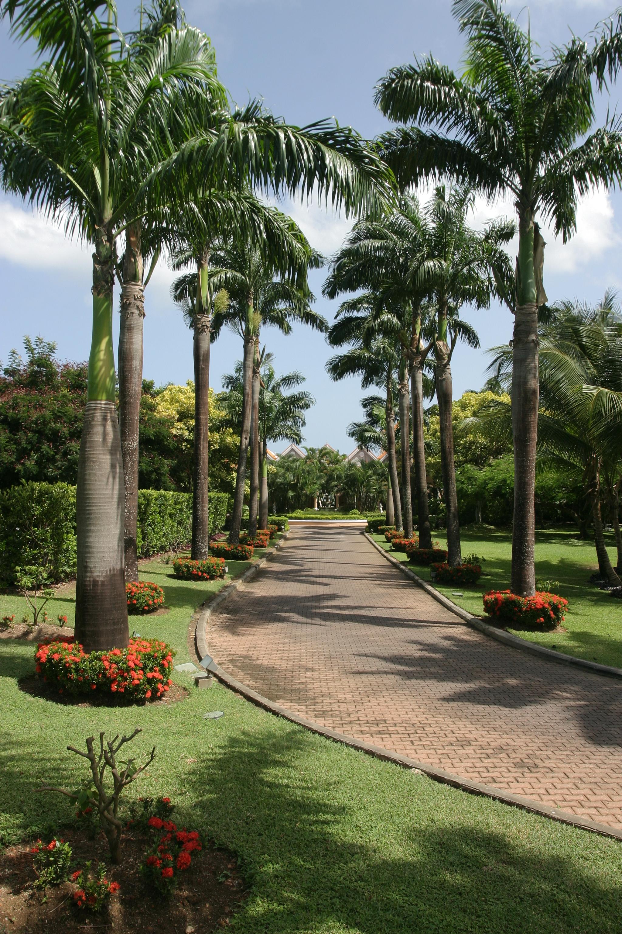 Coco Reef Resort & Spa Crown Point Kültér fotó